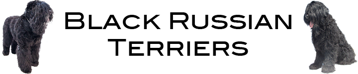 Black Russian Banner Image